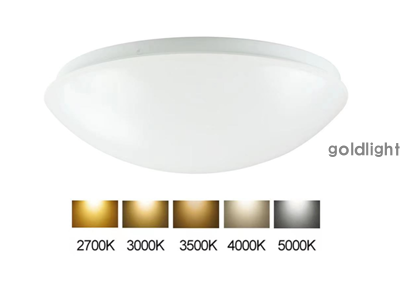 ceiling lamp